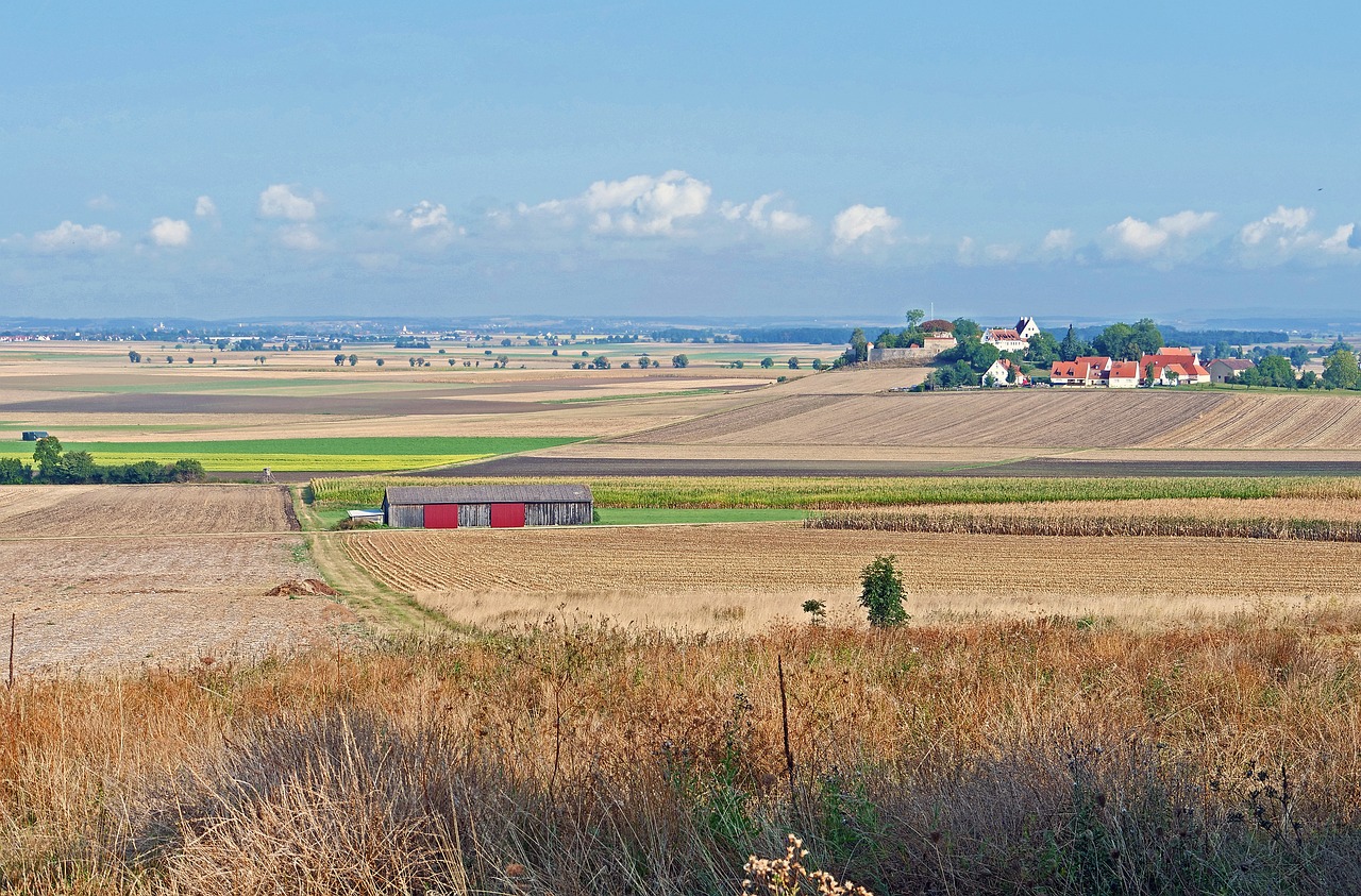 The Impacts of Pesticides on Biodiversity and Health